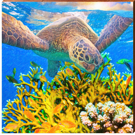 Sea Turtle Colorful Coral | Wall Art Print on Real Wood