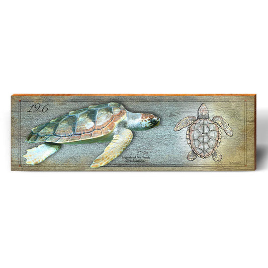 Loggerhead Sea Turtle Study | Wall Art Print on Real Wood