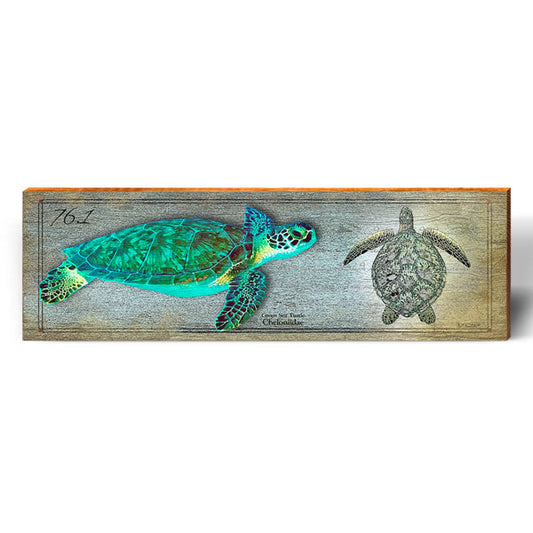 Green Sea Turtle Study | Wall Art Print on Real Wood