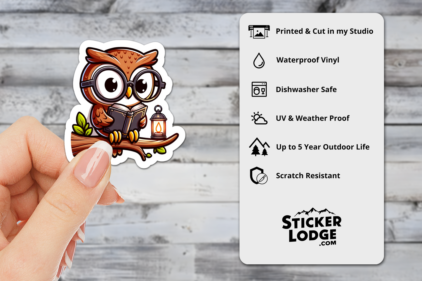 Owl Reading a Book Vinyl Sticker