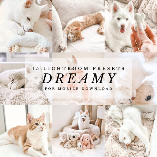 Dreamy Presets
