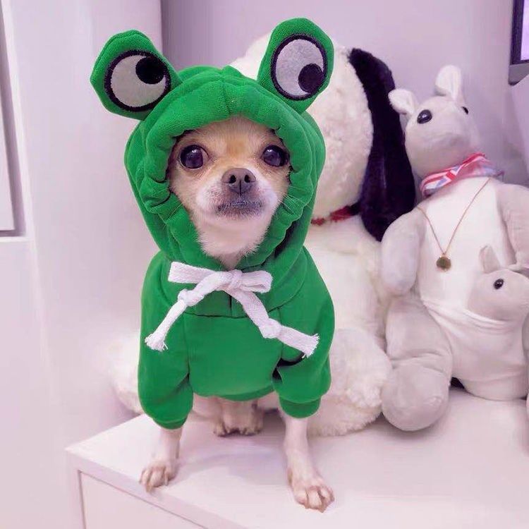 Two-legged Hooded Dog Clothes