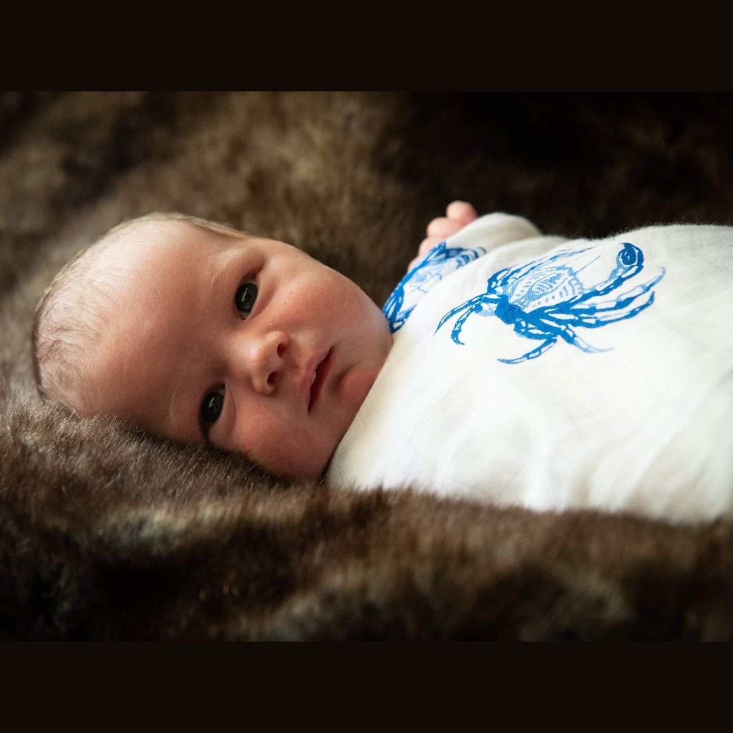 Gift Set: Blue Crab Baby Muslin Swaddle Blanket and Burp Cloth/Bib Combo Baby Shower Essential for Newborn