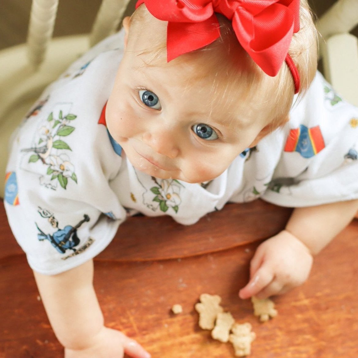 Gift Set: Mississippi Muslin Swaddle Baby Blanket and Burp Cloth/Bib Combo Soft Breathable Bamboo Cotton