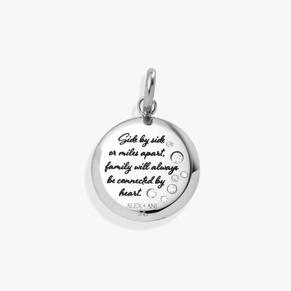 Grandma Hummingbird Disc Charm