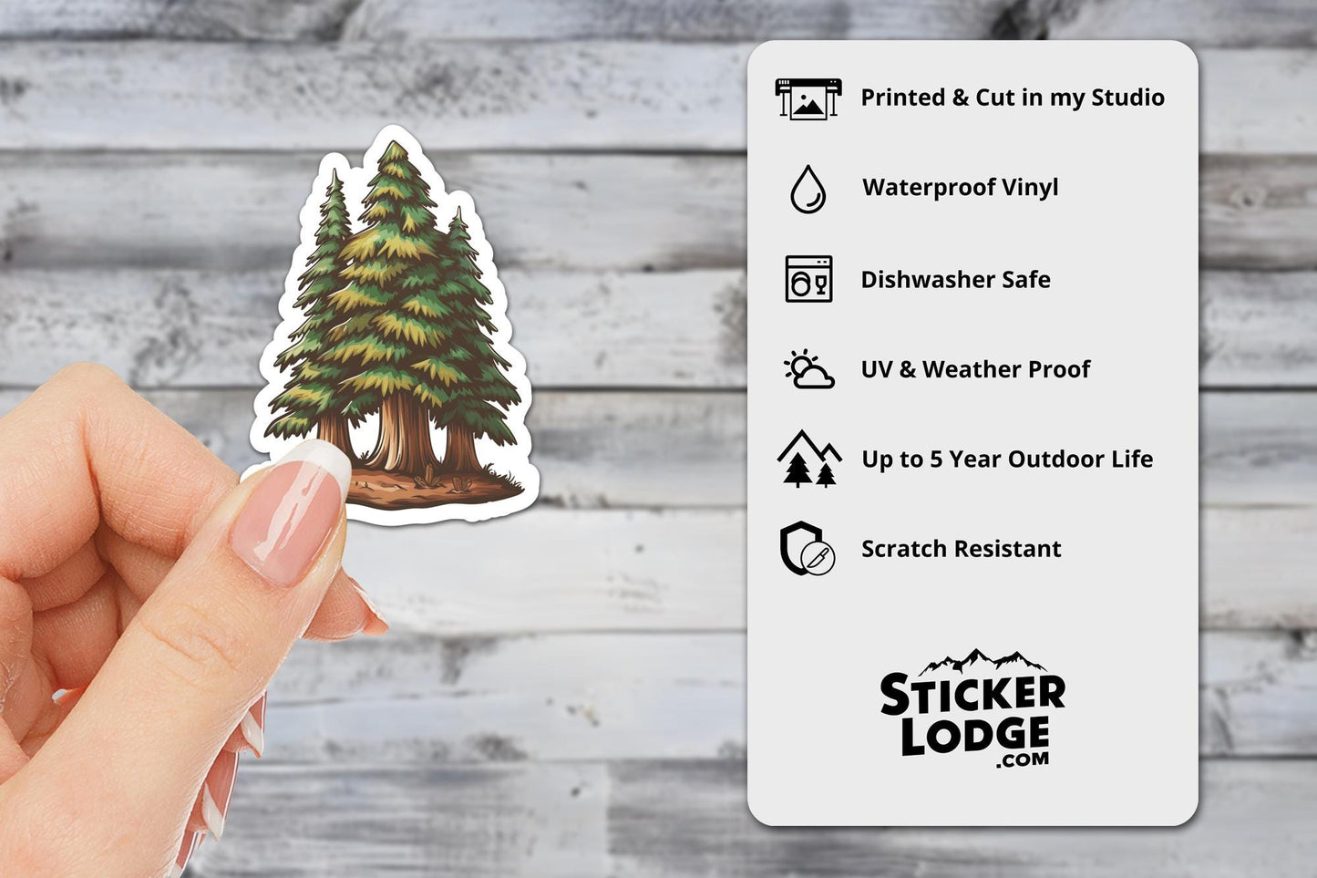 Trio of Redwood Trees Vinyl Sticker