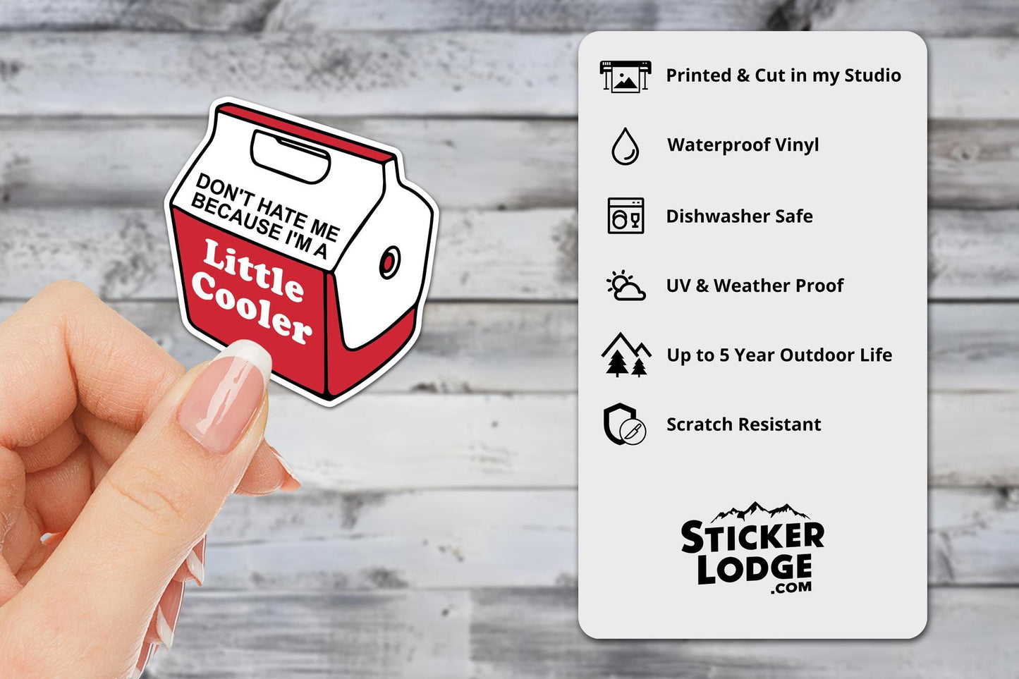 Don't Hate Me Because I'm A Little Cooler Vinyl Sticker