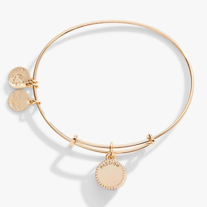 July Birthstone Charm Bangle, Ruby