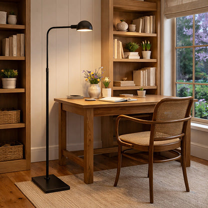 Adjustable Dome Iron Floor Lamp