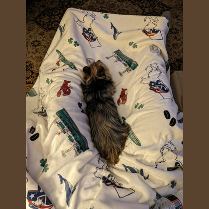 Massachusetts Plush Throw Blanket 60x80