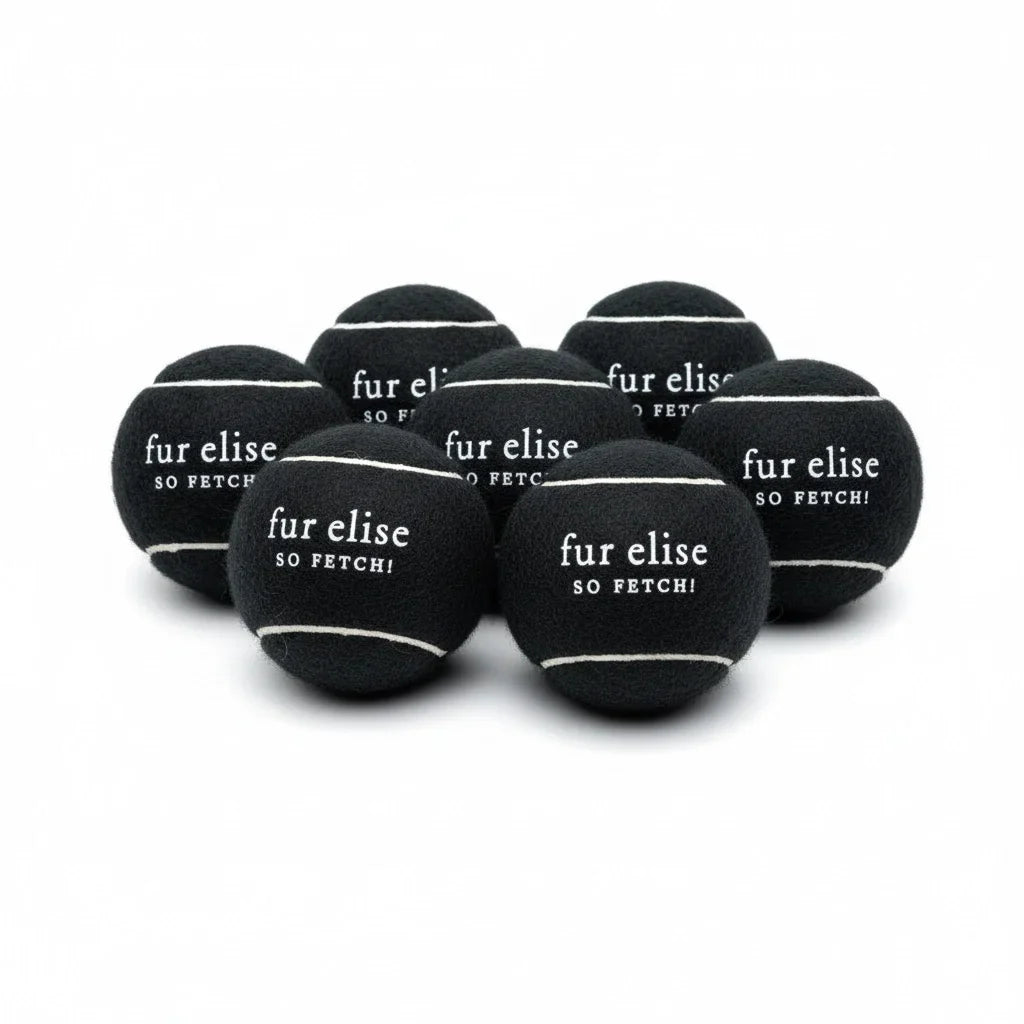 So Fetch! Tennis Ball Pack of 7 - Noire