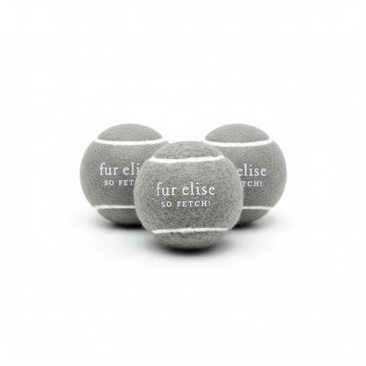 So Fetch! Tennis Ball Pack of 3 - Steel