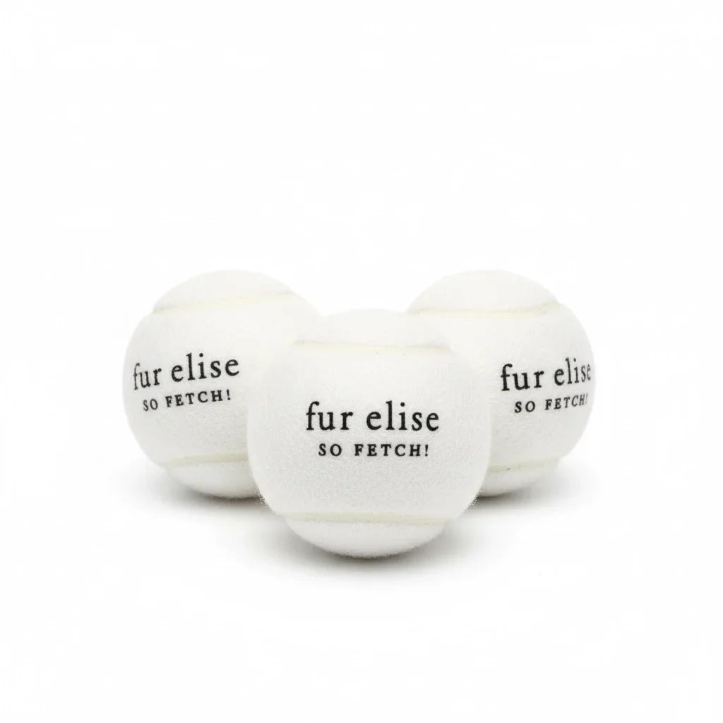 So Fetch! Tennis Ball Pack of 3 - Ivory