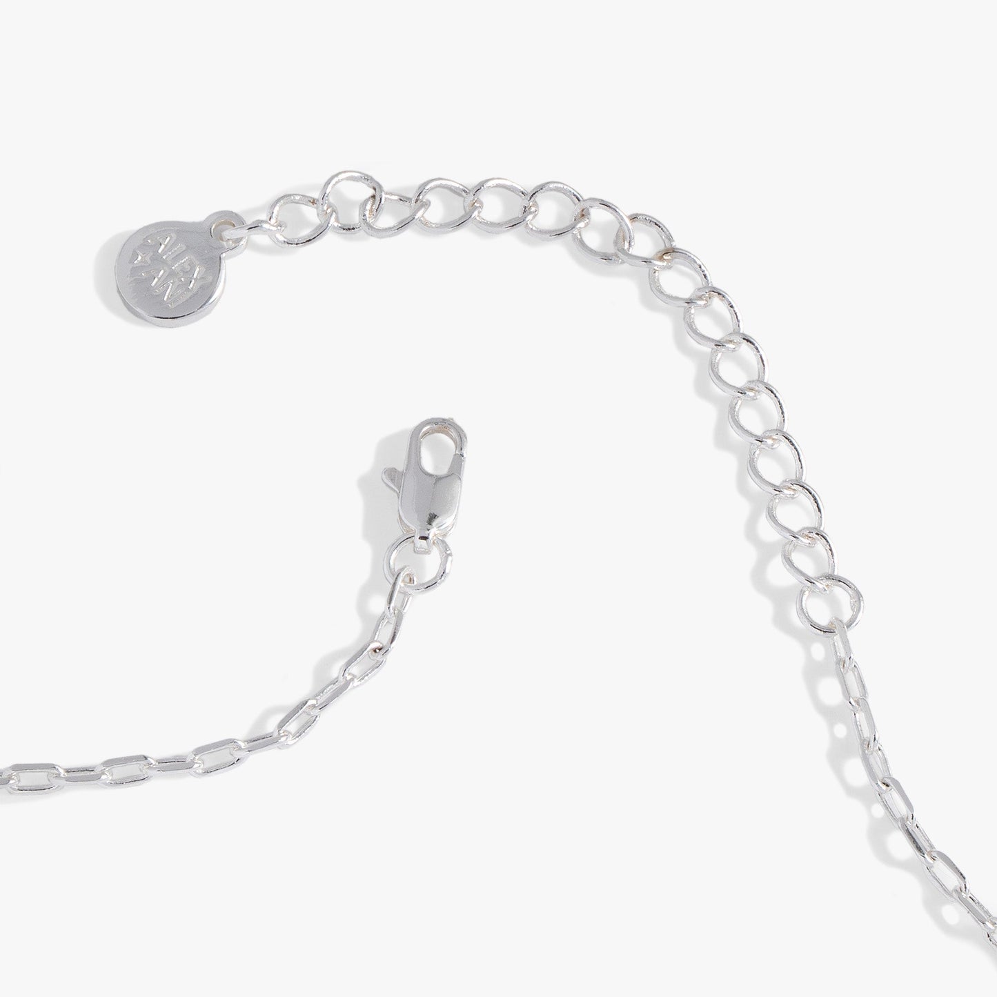 Sea Turtle and Abalone Adjustable Necklace